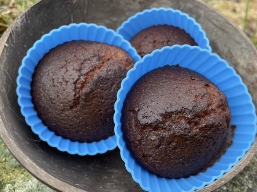 LowCarbChokoladeMuffins1